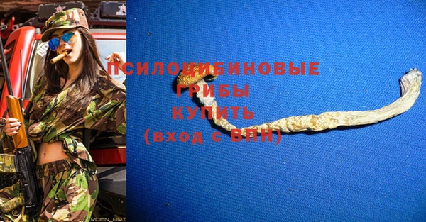 дживик Кинешма